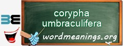 WordMeaning blackboard for corypha umbraculifera